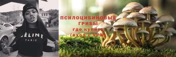 сатива Алексеевка