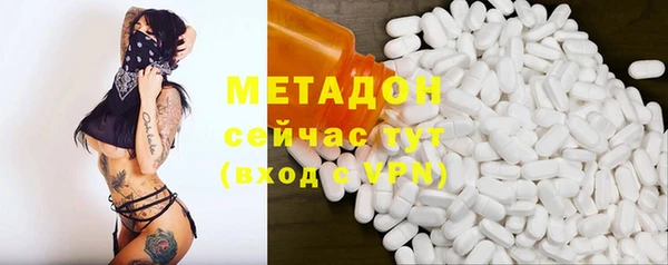 PSILOCYBIN Алзамай
