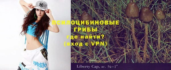 сатива Алексеевка