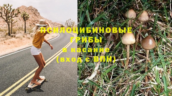 PSILOCYBIN Алзамай